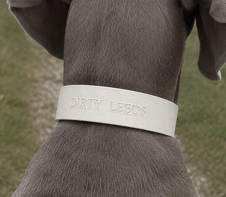 Rear view of the white Dirty Leeds® dog collar worn by a blue-grey Weimaraner, showing the embossed DIRTY LEEDS lettering.