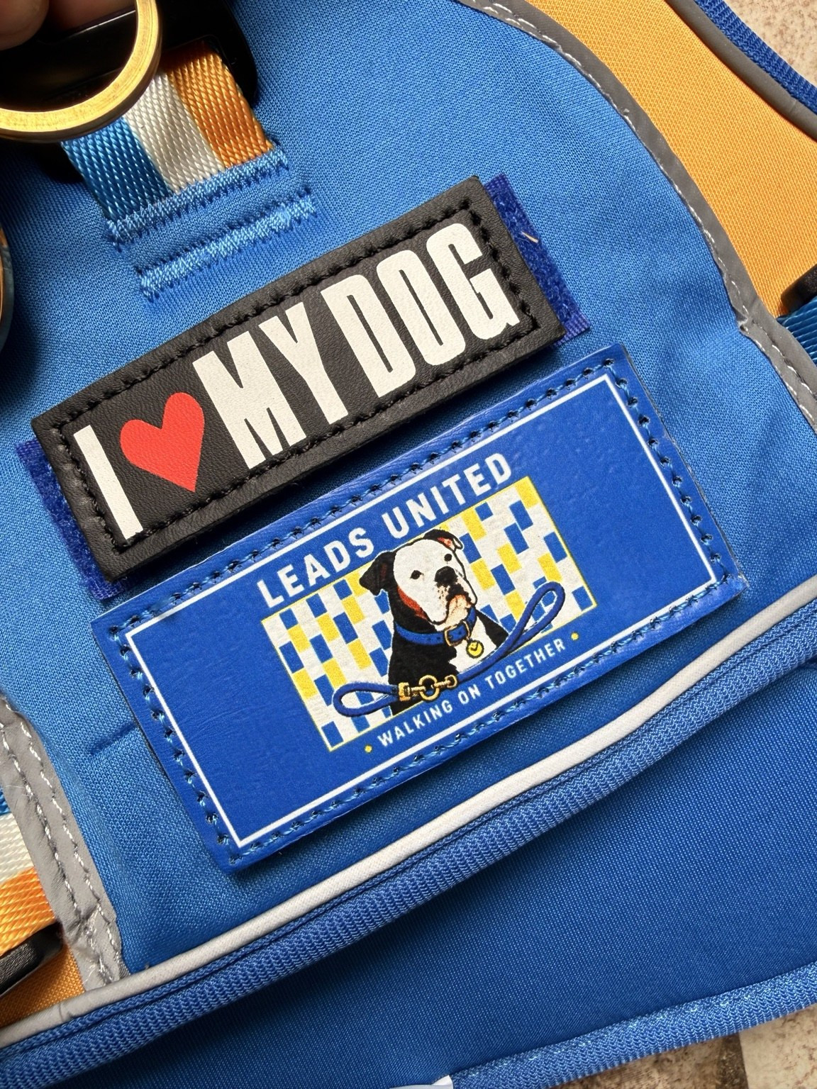 Close view of the I Love My Dog and Leads United Walking on Together removable patches attached to the harness.