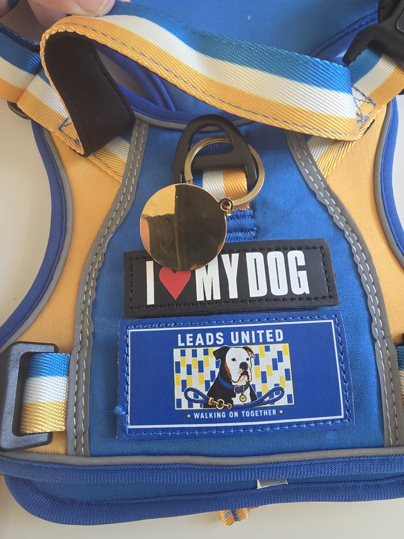 Harness front showing the blank reverse of the brass identity tag, ready to be engraved by a separate engraving provider.