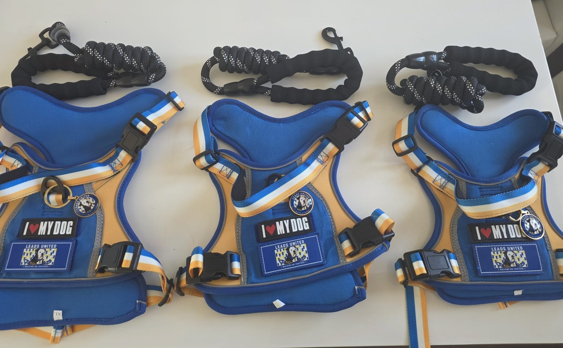 Medium, Large and Extra Large Leads United harness sets displayed together with their rope leads.