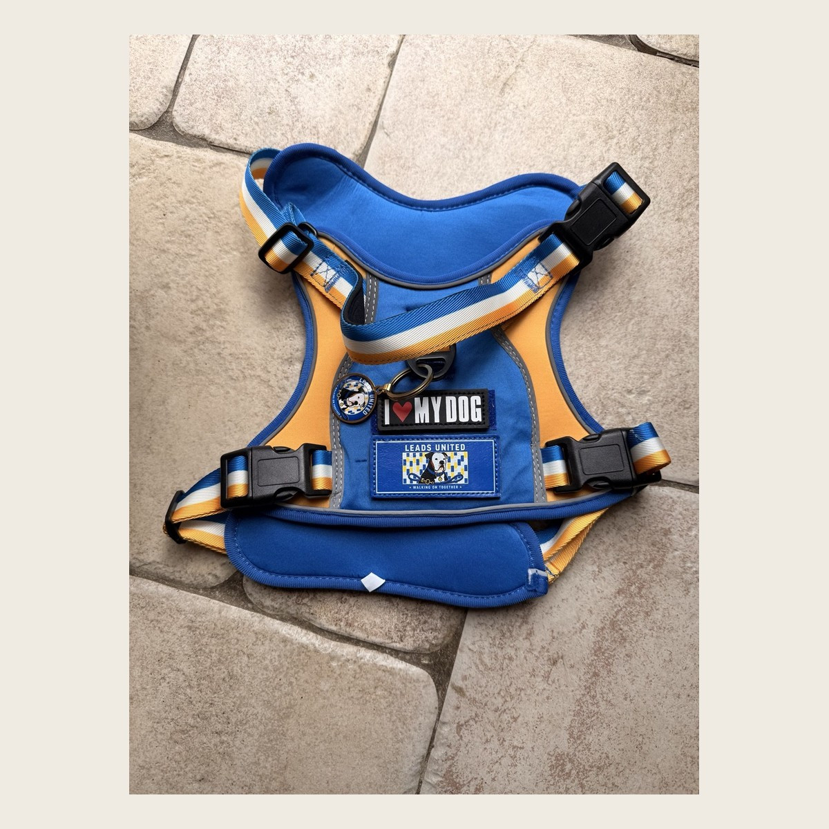 Front view of the blue, yellow and white Leads United dog harness set.